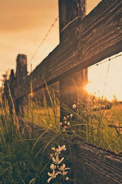 Walk By Faith Not By sight